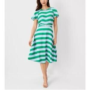 Ann Taylor Green and Baby Blue flare Midi Dress